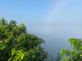 Rainforest ecosystem and healthy environment concept.hills with beautiful clouds in the morning. Summer Mountain with green plants and clouds in the sky. wooden hut on Mountain. Texture of green tree.