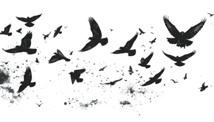 Silhouetted flock of dark birds in flight over an abstract, misty, nebulous cloud