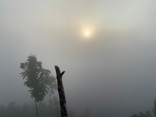 grassy mountain slope with a wooden fence, lit by morning sun. Tall evergreen overlooks hazy valleys. moody winter sunset over the Cotswold countryside. Sunlight on the morning with sea of fog.