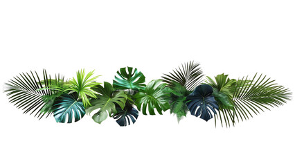 Fototapeta premium Leaves, spanning horizontally across a plain, light background. The cluster features a mix of different foliage types, primarily including large, split Monstera leaves , palm,jungle aesthetic.