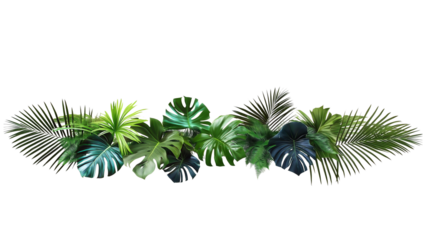 Leaves, spanning horizontally across a plain, light background. The cluster features a mix of different foliage types, primarily including large, split Monstera leaves , palm,jungle aesthetic.