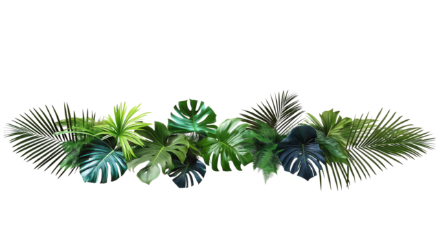 Leaves, spanning horizontally across a plain, light background. The cluster features a mix of different foliage types, primarily including large, split Monstera leaves , palm,jungle aesthetic.