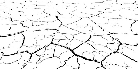 Cracked dry earth texture showing drought and arid landscape pattern. High-contrast black and white cracked soil background perfect for environmental, abstract, or texture design projects.