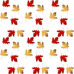 Autumn maple leaves pattern . Vector seamless pattern with scattered red and yellow maple leaves on white background.
