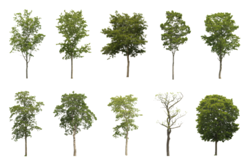 Bold 'NEW' announcement in striking red brushstroke design, perfect for product launches, marketing campaigns, and fresh content