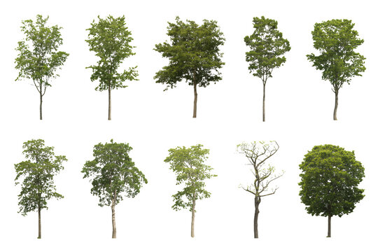 Bold 'NEW' announcement in striking red brushstroke design, perfect for product launches, marketing campaigns, and fresh content