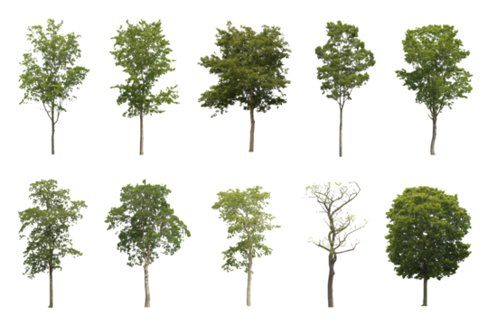 Bold 'NEW' announcement in striking red brushstroke design, perfect for product launches, marketing campaigns, and fresh content