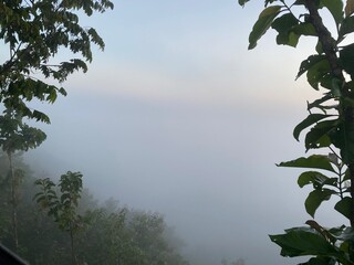 Rainforest ecosystem and healthy environment concept.hills with beautiful clouds in the morning. Summer Mountain with green plants and clouds in the sky. wooden hut on Mountain. Texture of green tree.