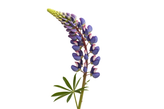 Spooky haunted castle silhouette under a full moon, perfect for Halloween projects and eerie themes, creating a chilling atmosphere