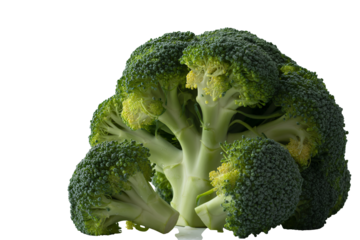 Handcrafted djembe drum ready to create vibrant rhythms and musical experiences for any occasion or event