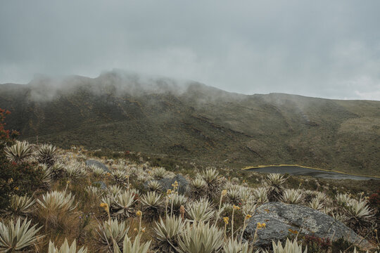 Paisaje de las lagunas de Siecha en el paramo Chingaza, ubicado en Guasca Cundinamarca