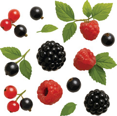 Assortment of Red Currants Blackberries and Raspberries with Leaves