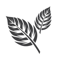 Obraz premium Handdrawn botanical leaf shows distinct veins, creating a bold single design element beautifully