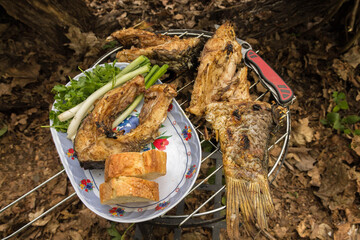 Serving food on the table. Digestion of food on the table.