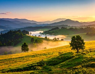 Rolling hills bathed in golden sunlight at dawn