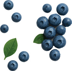 Scattered Blueberries and Green Leaf on White Background