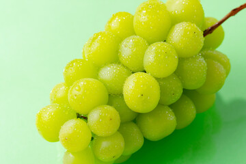 シャインマスカット