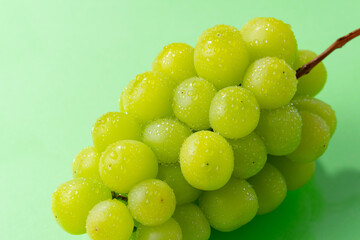 シャインマスカット