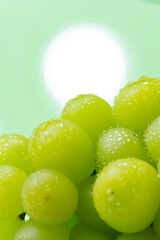 シャインマスカット