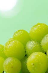 シャインマスカット