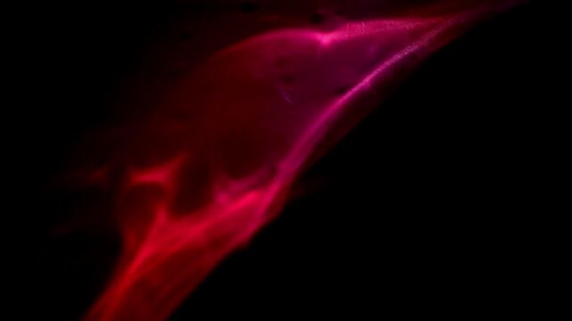 Luces rojas brillando sobre un fondo negro. Dise&ntilde;o de animaci&oacute;n abstracta con hermosas l&iacute;neas luminosas.
