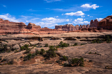 hiking near moab in canyonlands the needles in utah, usa