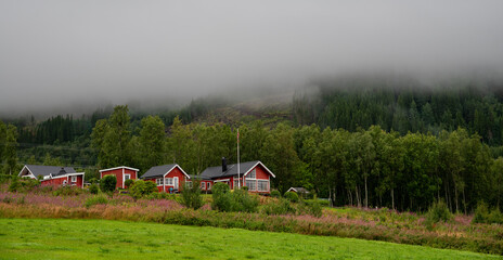 Scenic view of traditional red houses nestled in lush green countryside on a foggy morning in northern Europe