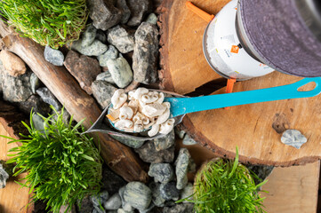 Backpacker Ingredients. Dehydrated Food, Stove System, and Spoon on Tree Stump.