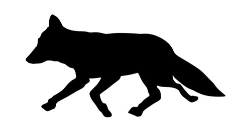 Running fox vector silhouette illustration isolated on background. Smart animal predator. Silent hunter hunting food.