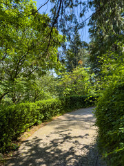 Secluded shaded path through lush green foliage, cobblestone walkway leading into nature, ideal for travel, hiking, wellness and eco-tourism visual concepts