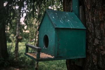 Green birdhouse on a tree, summer, day