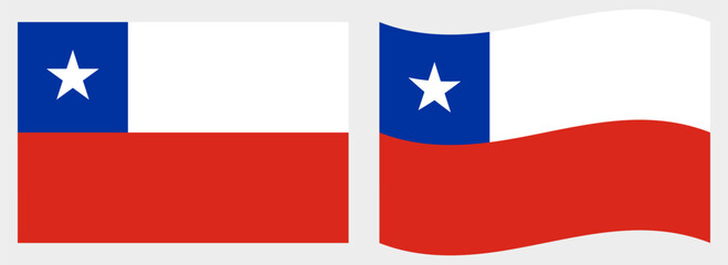 Chile flag wave and flat vector Illustration
Vector flag