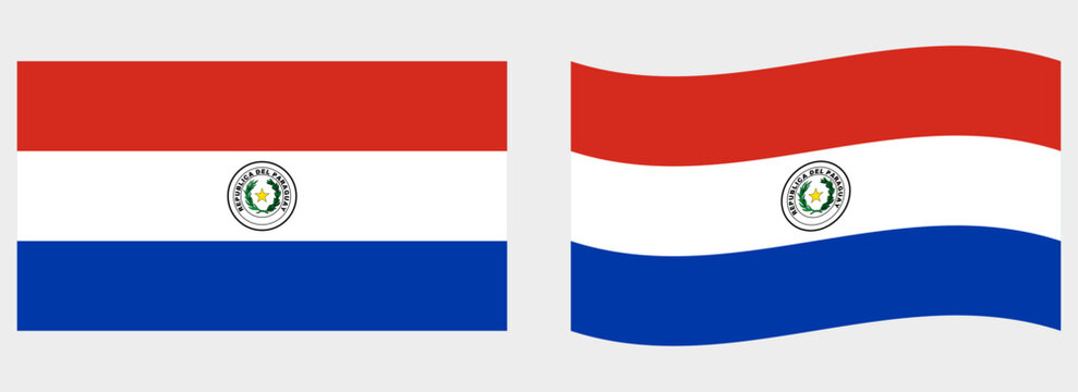 Paraguay flag wave and flat vector Illustration
Vector flag