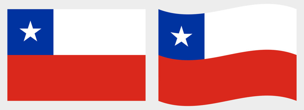 Chile flag wave and flat vector Illustration
Vector flag
