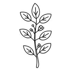 Elegant Botanical Leafy Branch with Small Berries Line Art Illustration