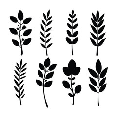 Collection of Assorted Black Botanical Branches Silhouettes Vector Illustrations
