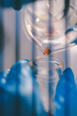 Researchers working in the clinical laboratory