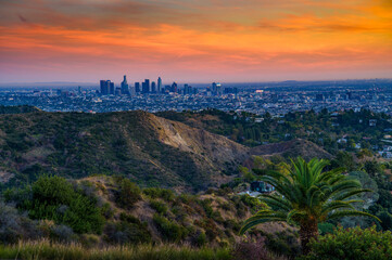 Downtown Los Angeles skyline seen from Mt. Lee Drive at sunset, with hills and palm trees in the...