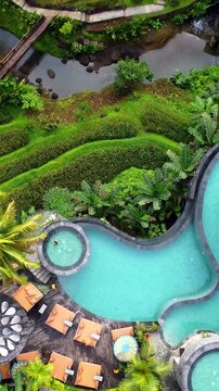 Vertical drone view of Cretya Ubud by Alas Harum in Gianyar, Bali. This club-restaurant is nestled among the Tegallalang rice terraces. A stunning view of the three-tiered azure blue pools. Indonesia