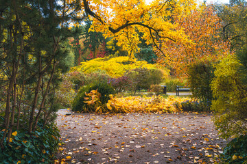 Złota jesień w parku &ndash; alejki, liście i spok&oacute;j natury
