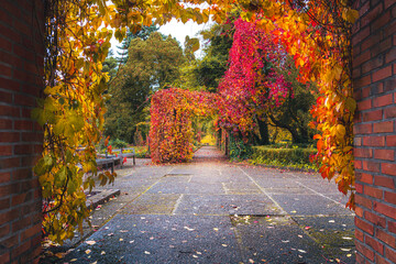 Złota jesień w parku &ndash; alejki, liście i spok&oacute;j natury
