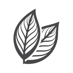 Three stylized leaves sprout upwards in this elegant hand drawn botanical art