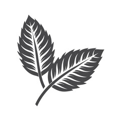 Fototapeta premium Stylized feather shows intricate details with a dark outline for nature lovers