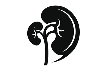 Kidney bean shape shows a unique anatomy structure in simple and clean monochrome