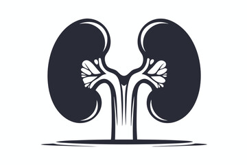 Symmetrical kidney organ illustration showcases the intricate internal structures in bold, clean black outline