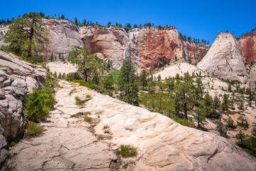 Fototapeta premium hiking in zion national park in utah, usa