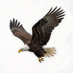 Obraz premium Majestic Bald Eagles in Flight and Perched on Branches with Neon Glow and Natural Backgrounds, Symbol of Freedom and Power in Wildlife and Modern Digital Art Style