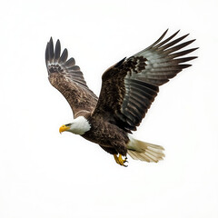 Obraz premium Majestic Bald Eagles in Flight and Perched on Branches with Neon Glow and Natural Backgrounds, Symbol of Freedom and Power in Wildlife and Modern Digital Art Style