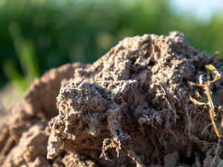 Mud Pile With Green Background in Daylight