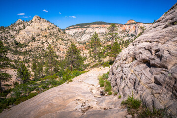 hiking in zion national park in utah, usa